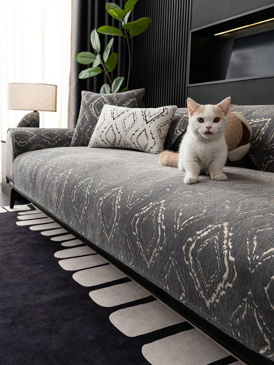 Mau Beli Sofa Tapi Punya Hewan Peliharaan? Hindari 4 Hal Berikut!